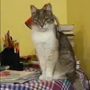 Отзыв от Анна Ершова